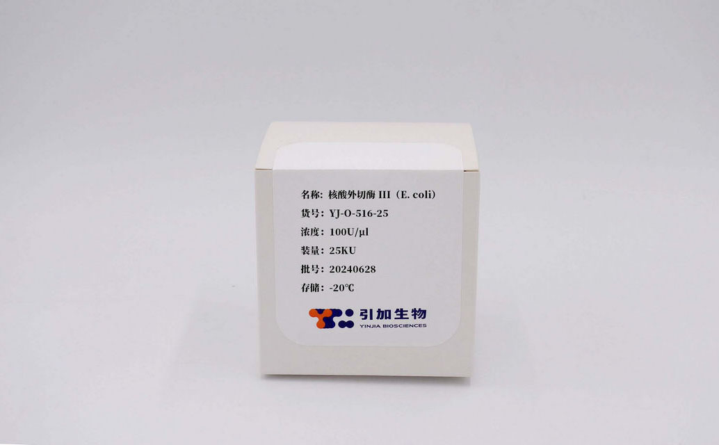 核酸外切酶 III(E. coli)