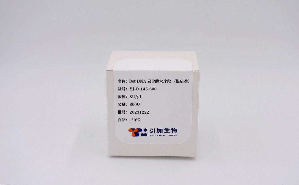 Bst DNA 聚合酶大片段 (溫啟動)