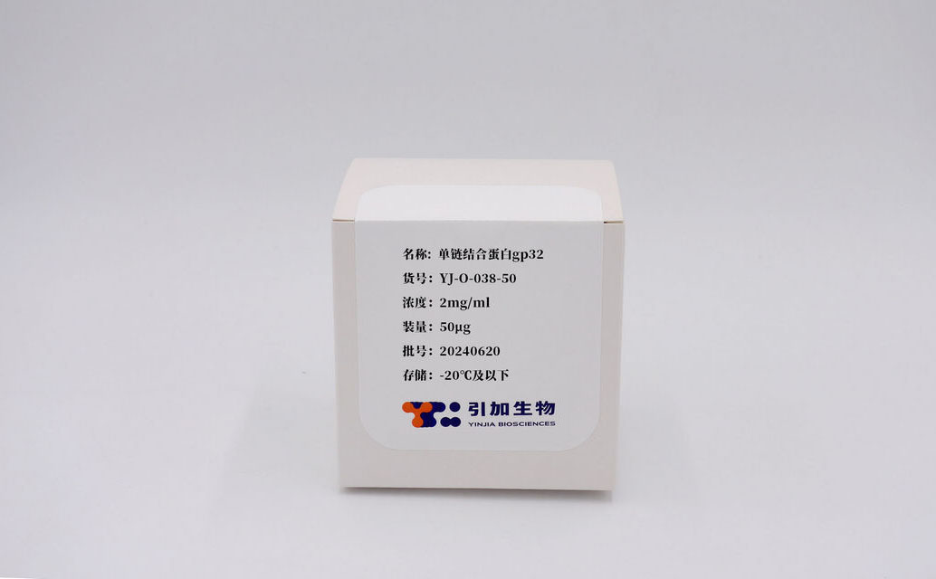 單鏈結(jié)合蛋白gp32
