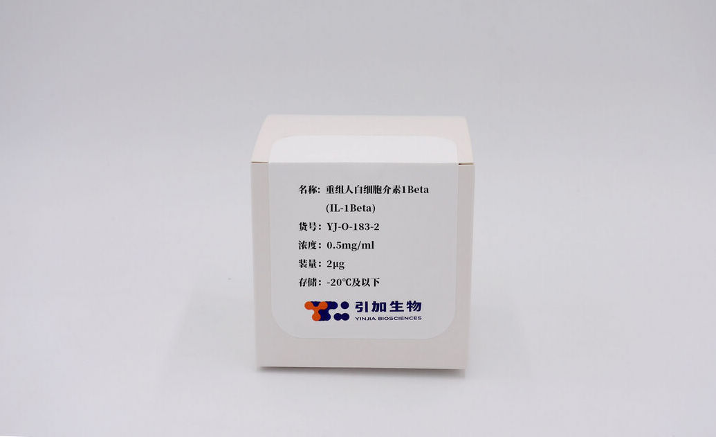 重組人白細(xì)胞介素1 Beta(IL-1 Beta)
