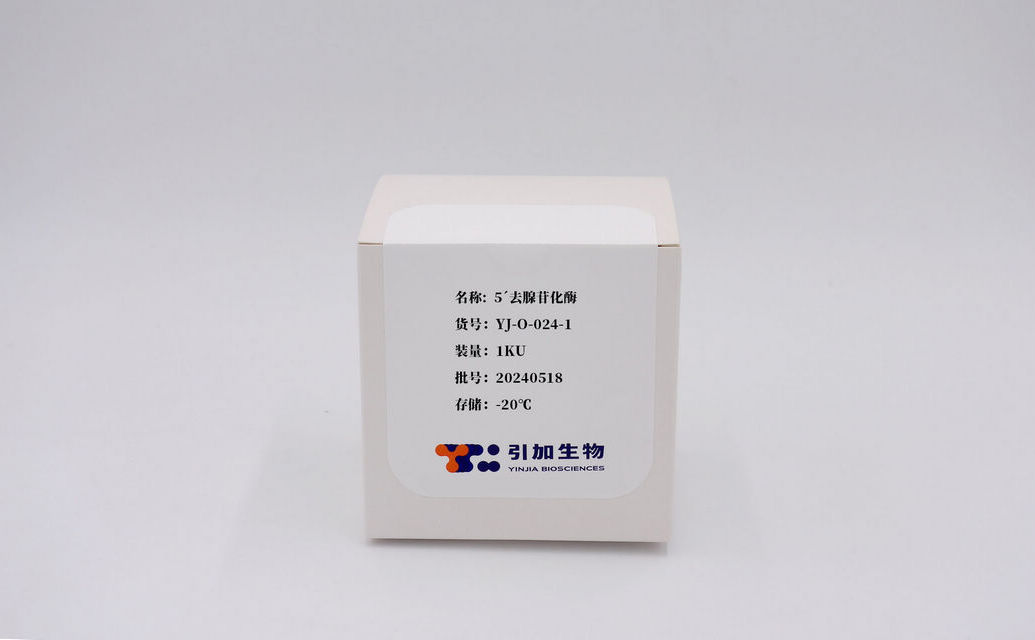 5′去腺苷化酶